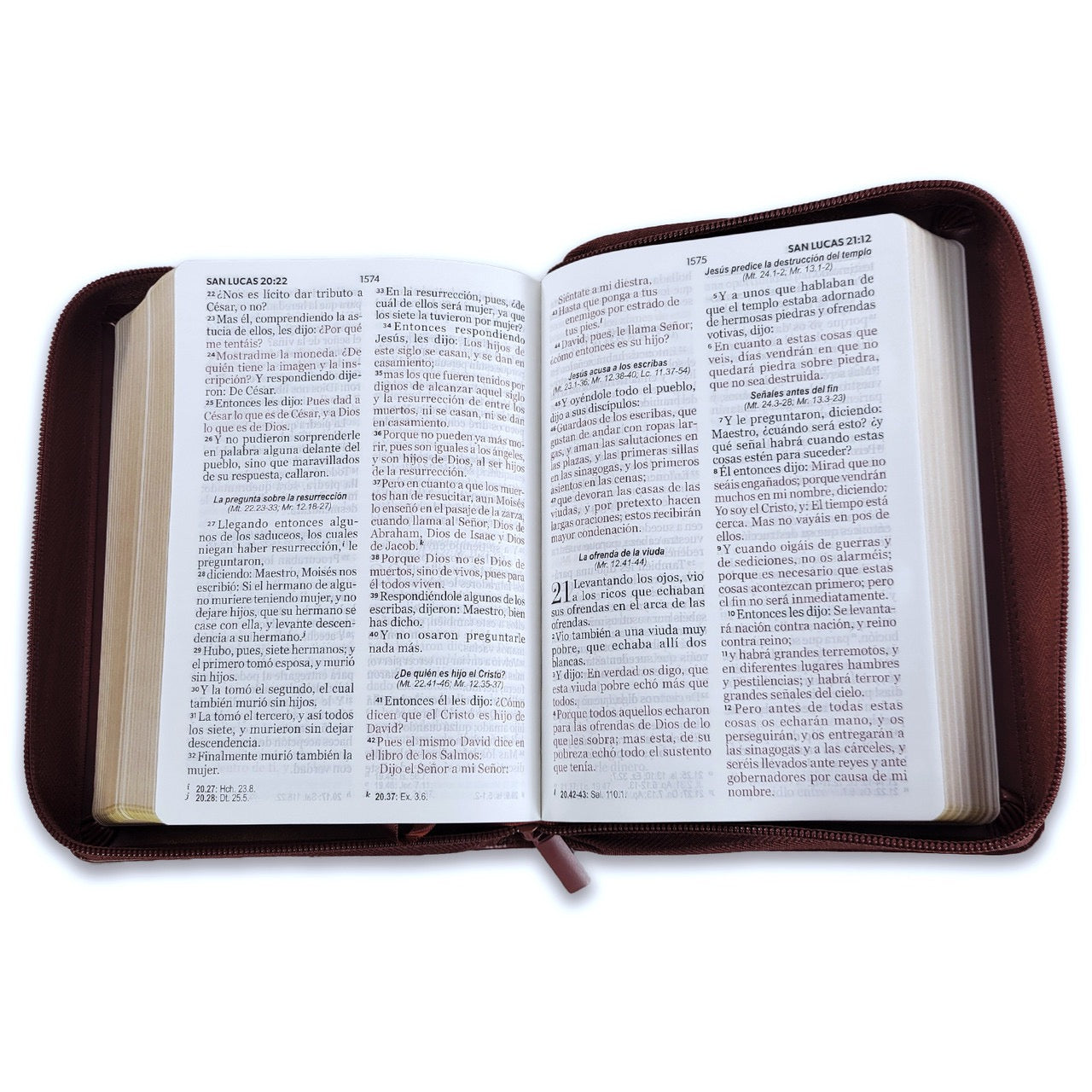 Libreria Cristiana Arca