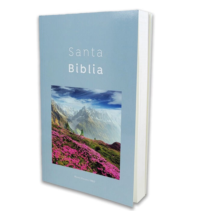 Libreria Cristiana Arca