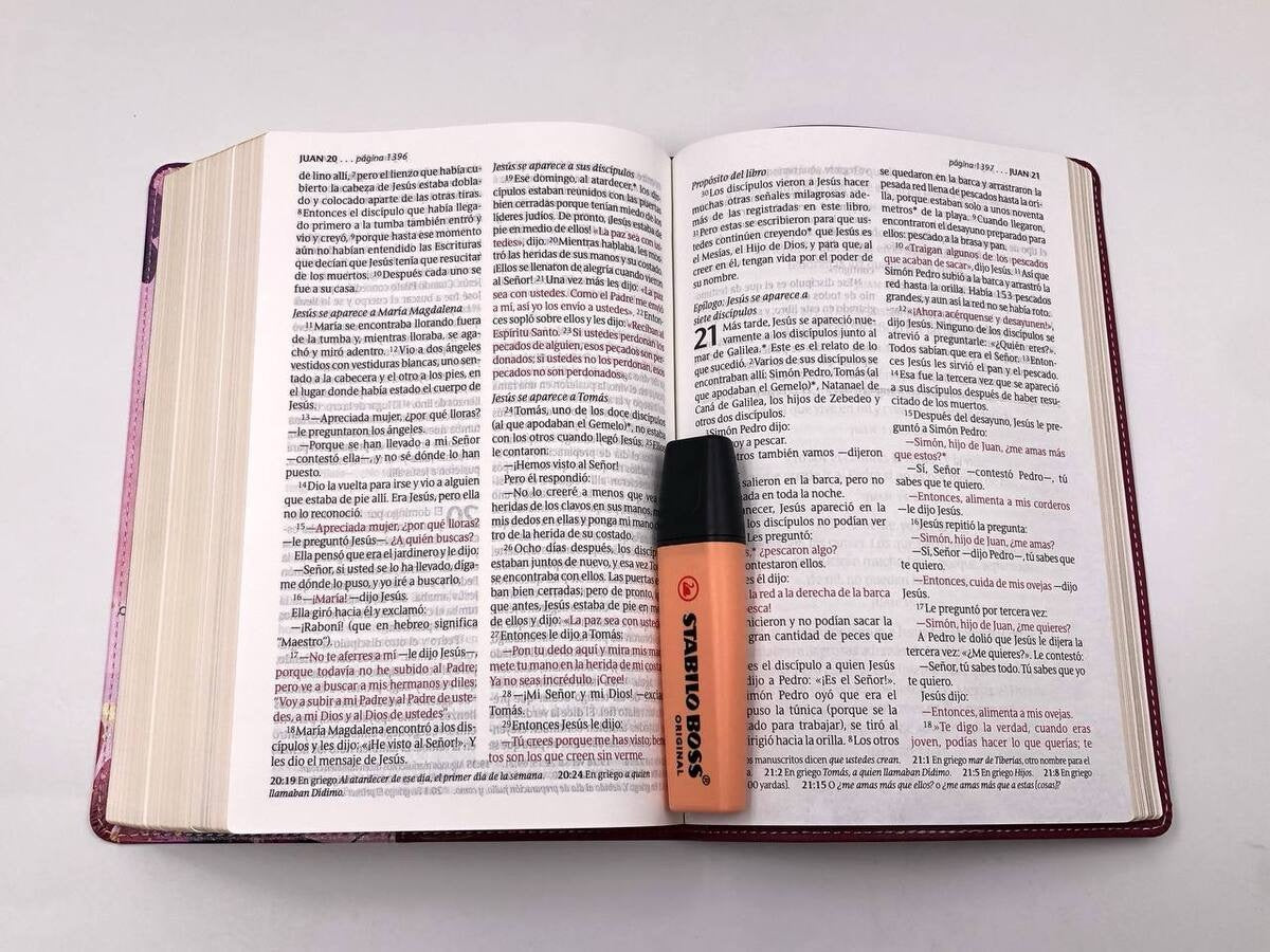 Biblia NTV Letra Grande Tamaño Personal