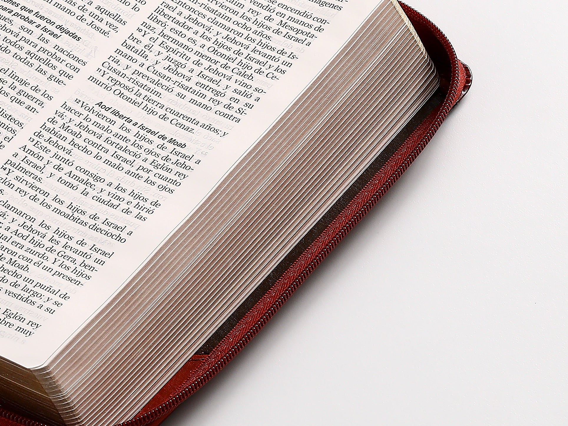 Libreria Cristiana Arca