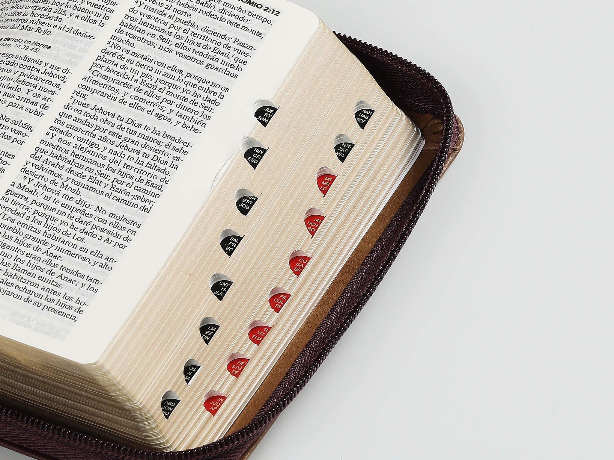 Biblia RVR60 Bolsillo café