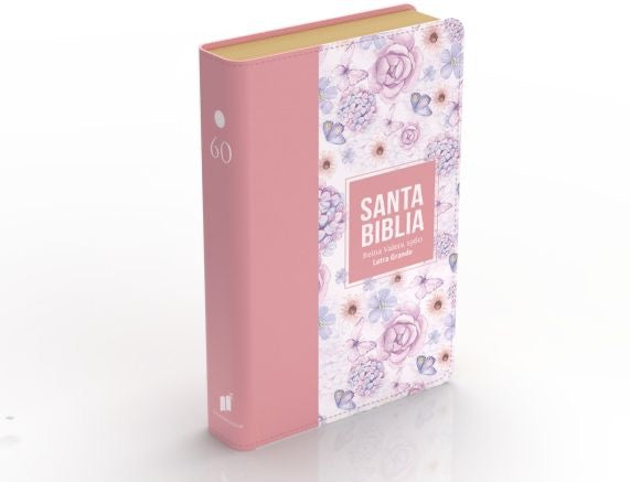 Biblia RVR 1960 Letra Grande Tamaño Manual