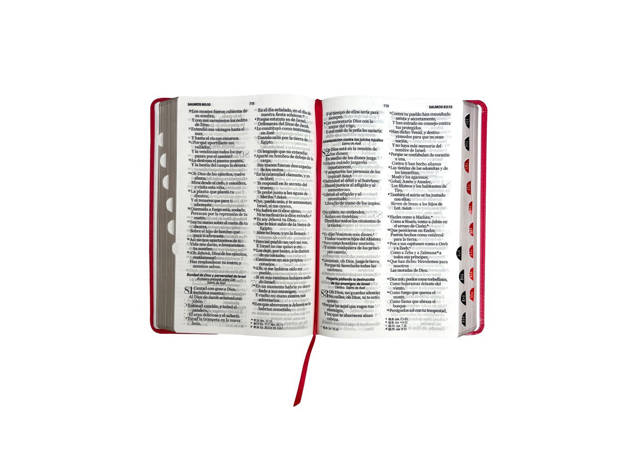 Libreria Cristiana Arca