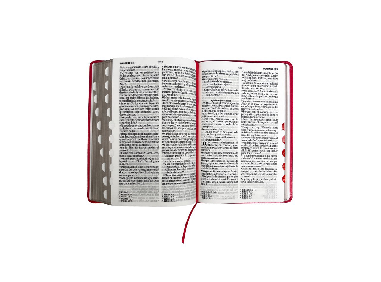 Biblia RVR60 Tamaño Manual Letra Grande fucsia