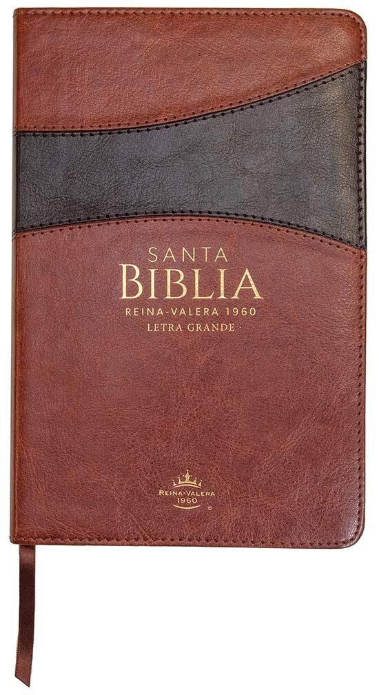 Libreria Cristiana Arca
