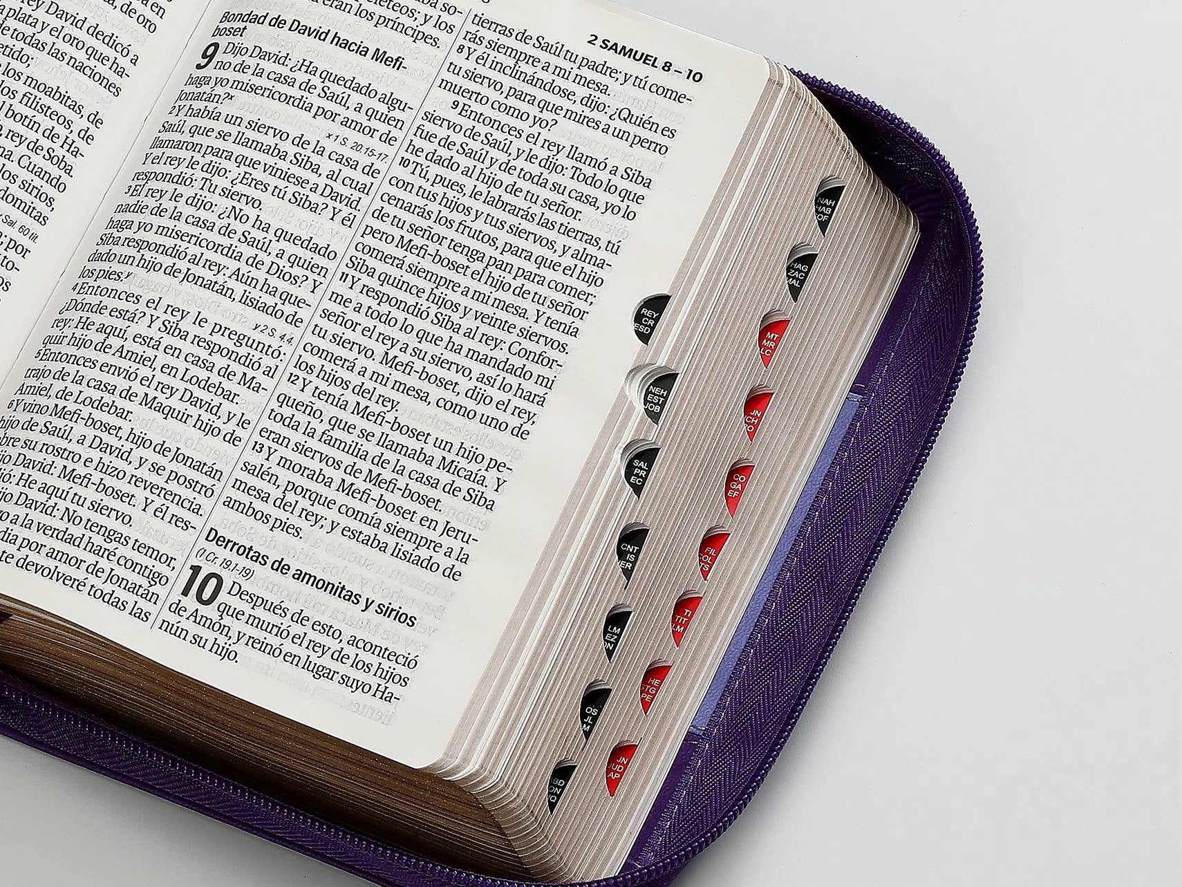 Biblia RVR60 Tamaño Compacto Letra Grande 12 puntos