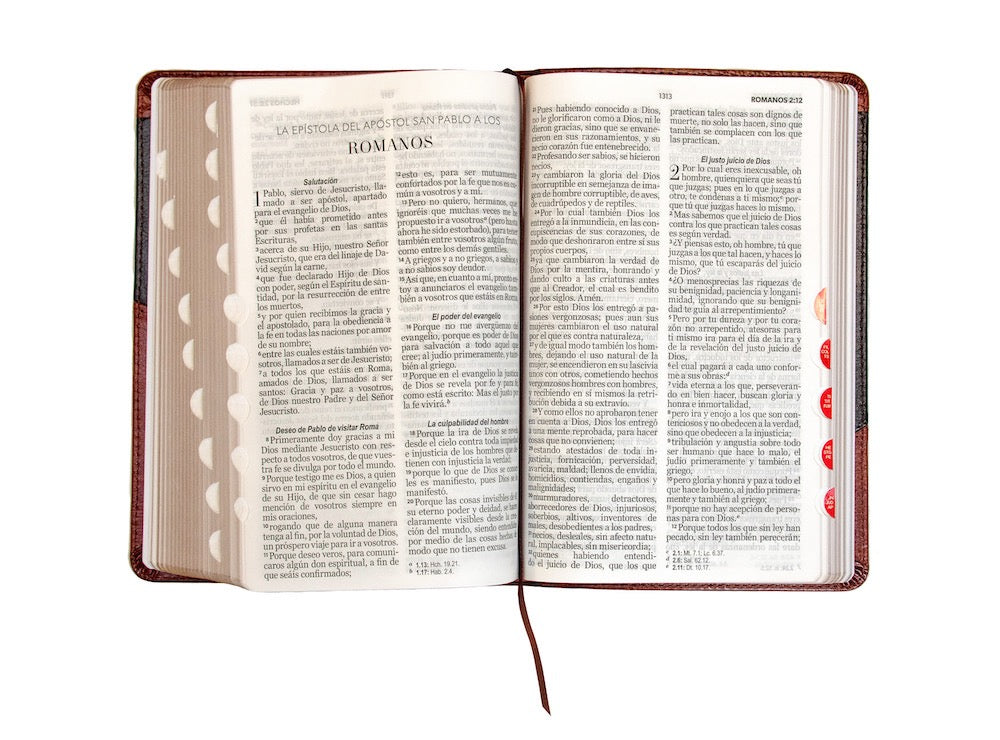 Libreria Cristiana Arca
