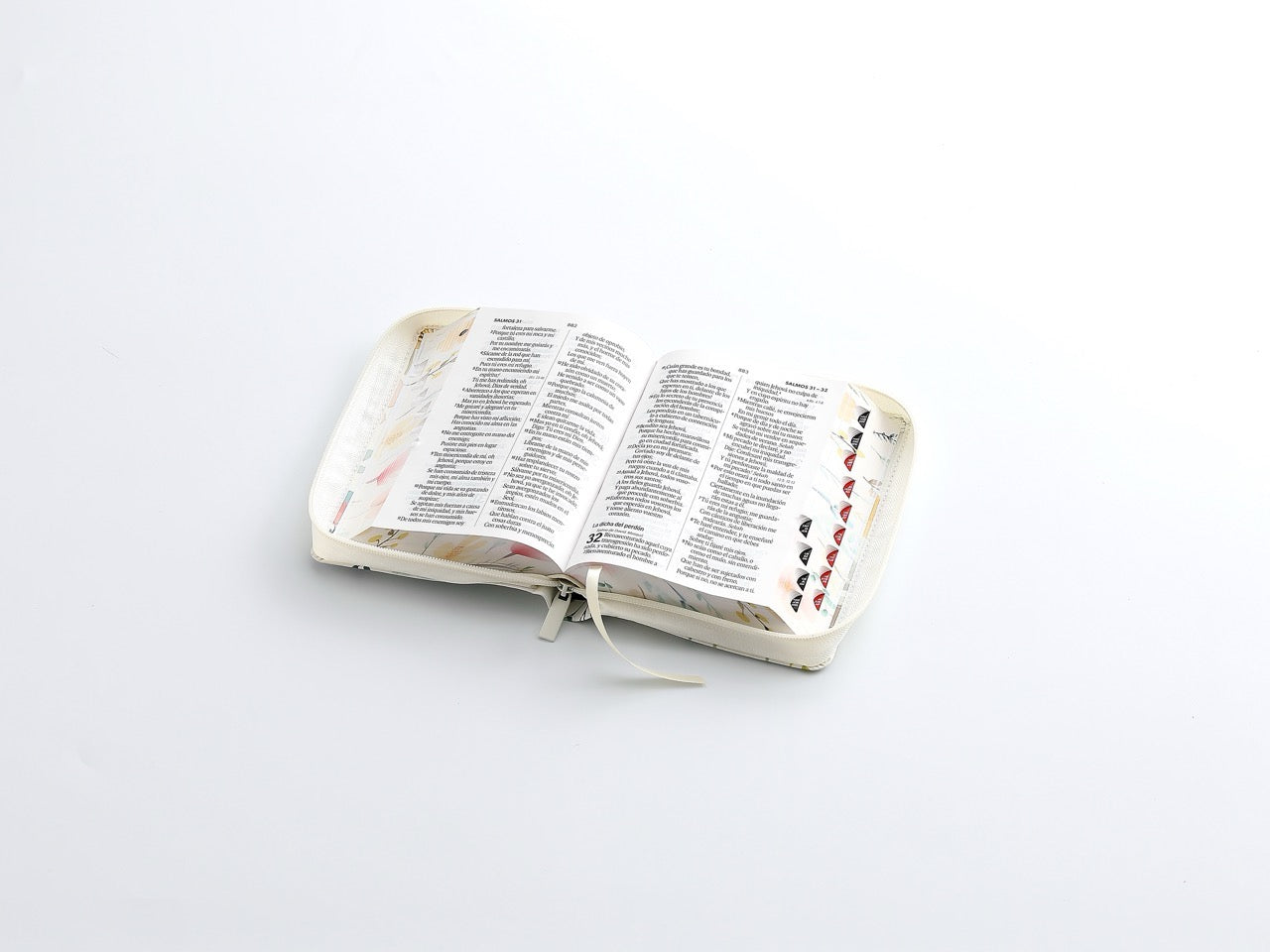 Libreria Cristiana Arca