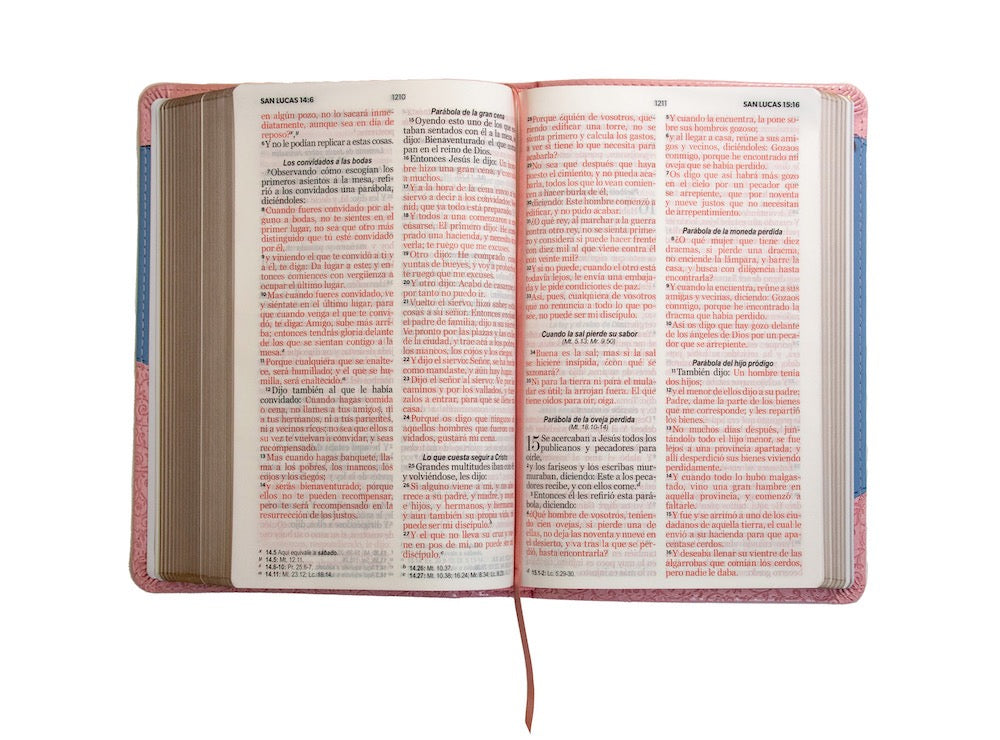 Libreria Cristiana Arca