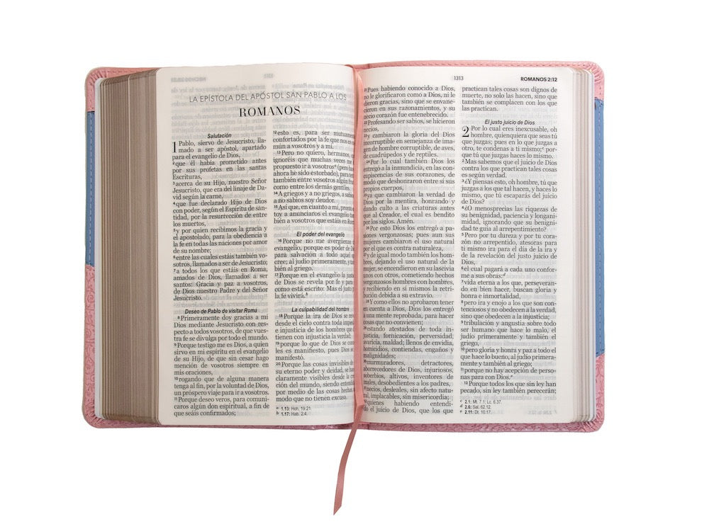 Biblia RVR60 Tamaño Manual Letra Grande rosa