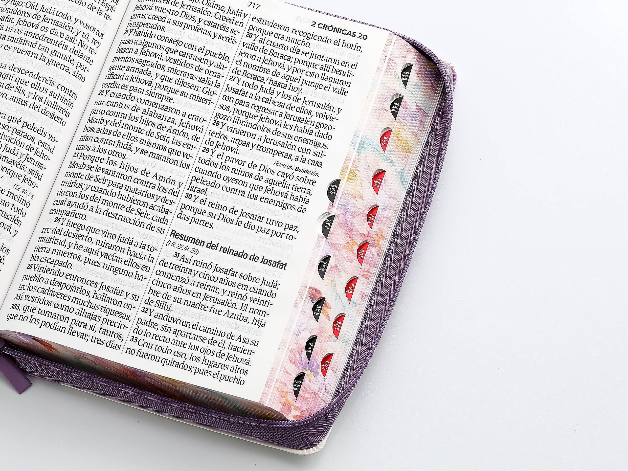 Biblia RVR60 Letra Súper Gigante lila