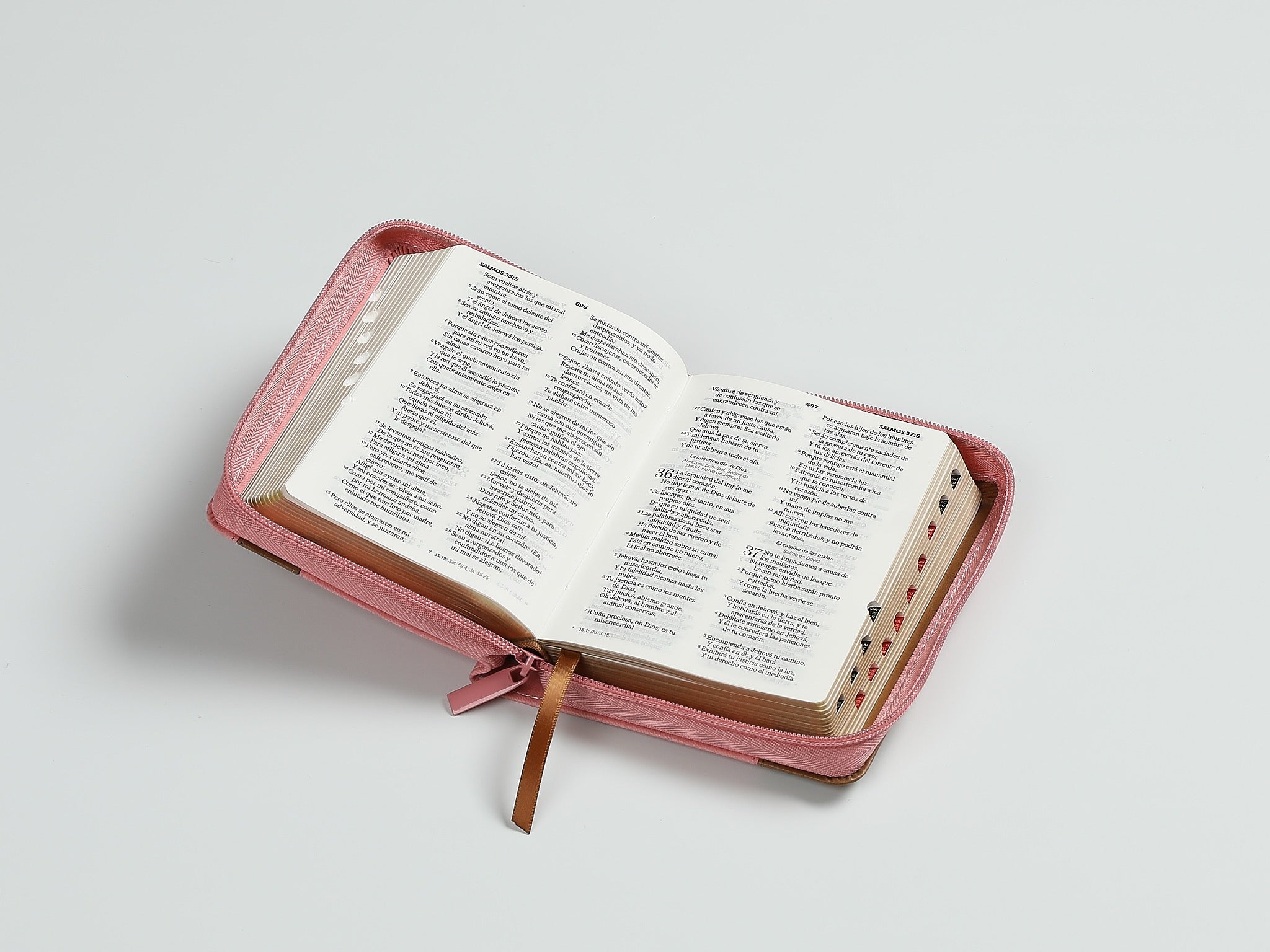 Libreria Cristiana Arca