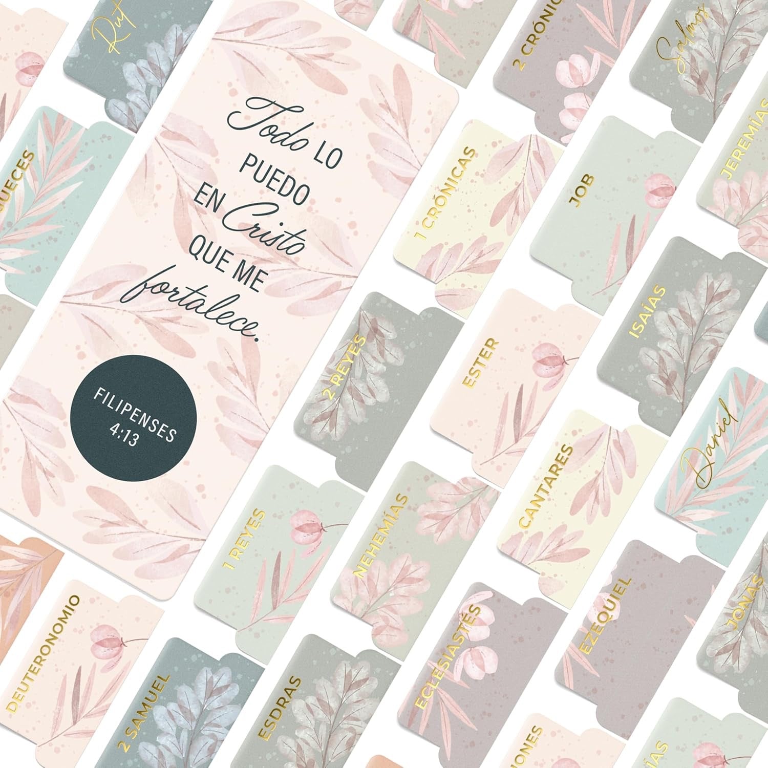 Indice para biblias premium