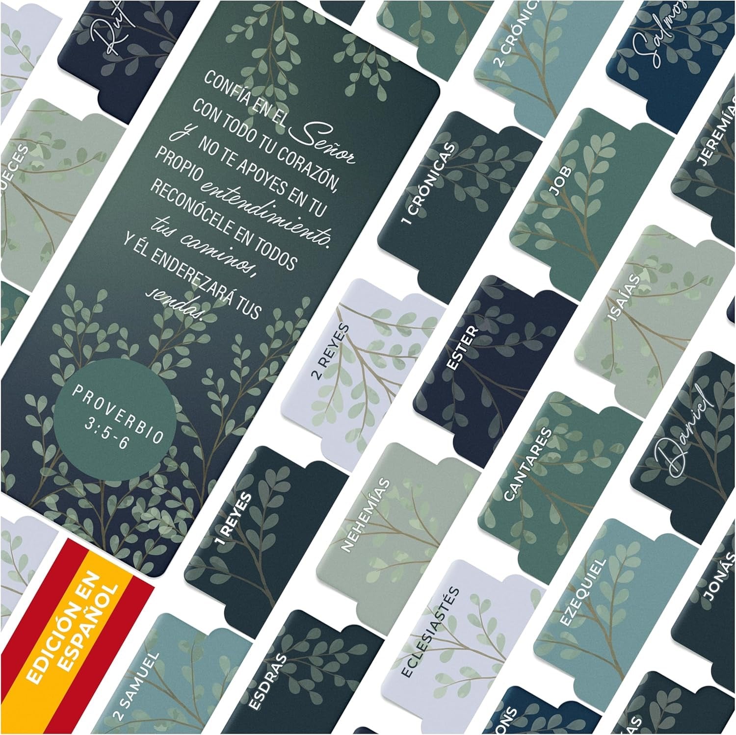 Indice para biblias premium